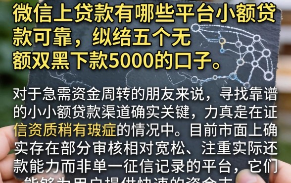 微信上贷款有哪些平台小额贷款可靠，归纳五个无视双黑下款5000的口子