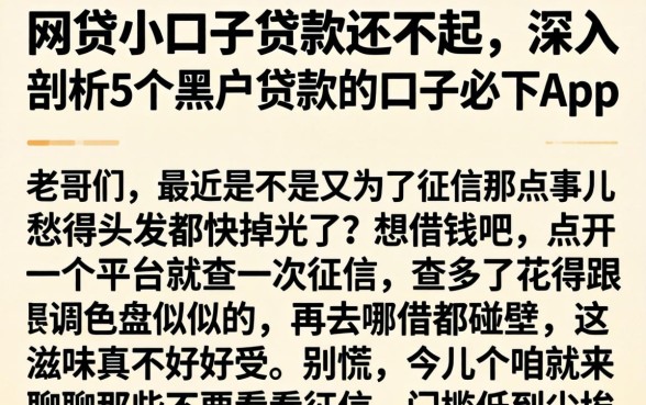 网贷小口子贷款还不起，深入剖析5个黑户贷款的口子必下app