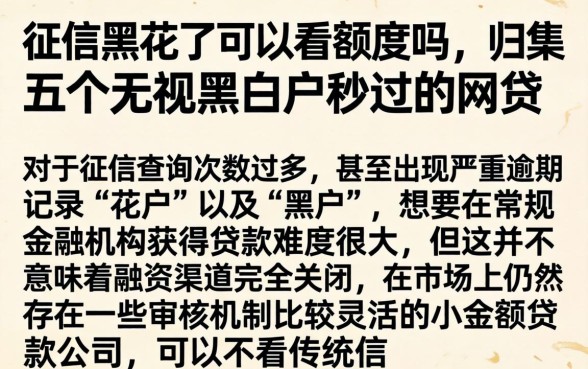 征信黑花了可以看额度吗，归集五个无视黑白户秒过的网贷