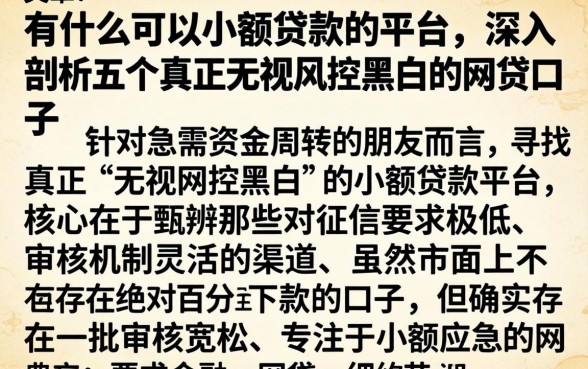 有什么可以小额贷款的平台，深入剖析五个真正无视风控黑白的网贷口子