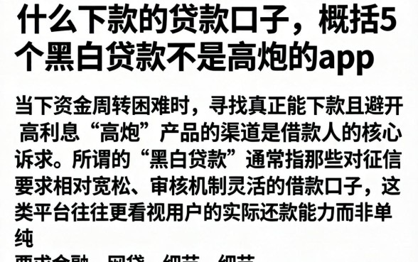 什么下款的贷款口子，概括5个黑白贷款不是高炮的app