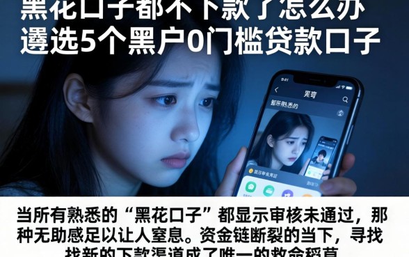 黑花口子都不下款了怎么办，遴选5个黑户0门槛贷款口子
