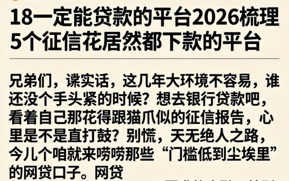 18一定能贷款的平台2026，梳理5个征信花居然都下款的平台