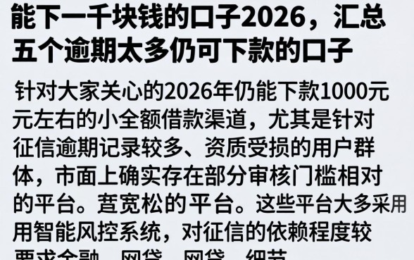 能下一千块钱的口子2026,汇总五个逾期太多仍可下款的口子