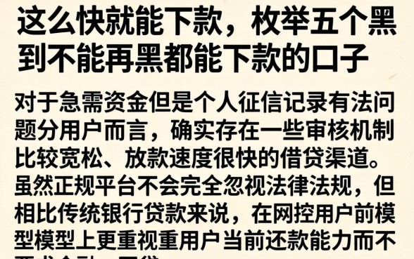 这么快就能下款，枚举五个黑到不能再黑都能下款的口子
