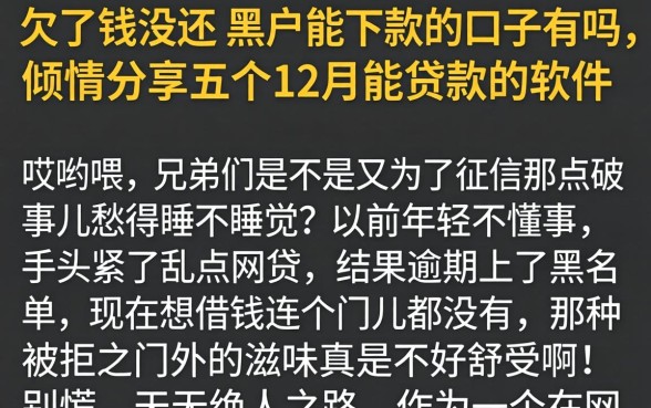 欠了钱没还的黑户能下款的口子有吗，倾情分享五个12月能贷款的软件