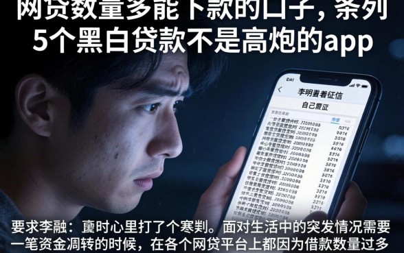 网贷数量多能下款的口子，条列5个黑白贷款不是高炮的app