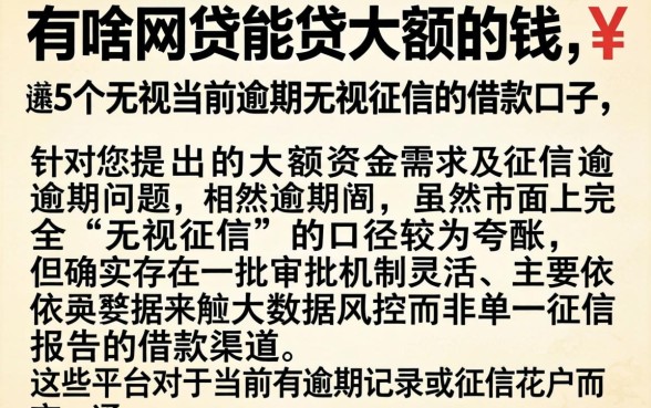 有啥网贷能贷大额的钱，详细阐述5个无视当前逾期无视征信的借款口子