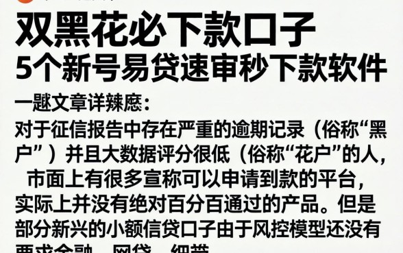 双黑花必下款口子，详细阐述5个新号易贷速审秒下款软件