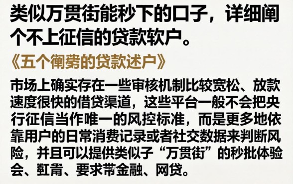 类似万贯街能秒下的口子，详细阐述五个不上征信的贷款软件