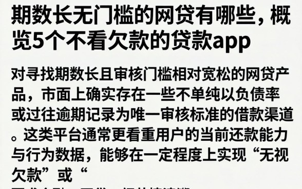 期数长无门槛的网贷有哪些，概览5个不看欠款的贷款app