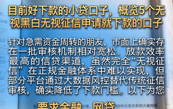 目前好下款的小贷口子，概览5个无视黑白无视征信申请就下款的口子
