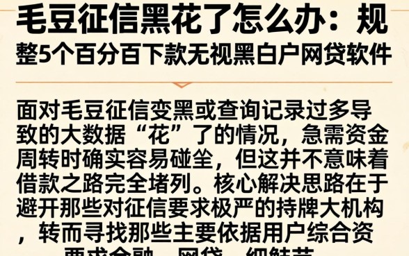 毛豆征信黑花了怎么办,规整5个百分百下款无视黑白户网贷软件