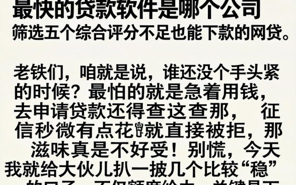 最快的贷款软件是哪个公司，筛选五个综合评分不足也能下款的网贷