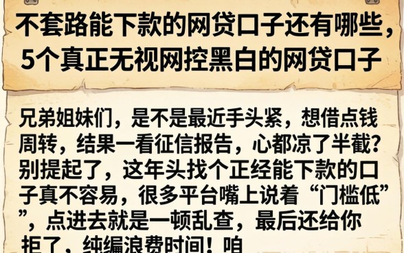 不套路能下款的网贷口子还有哪些，概括5个真正无视风控黑白的网贷口子