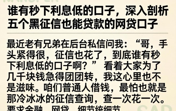 谁有秒下利息低的口子，深入剖析五个黑征信也能贷款的网贷口子