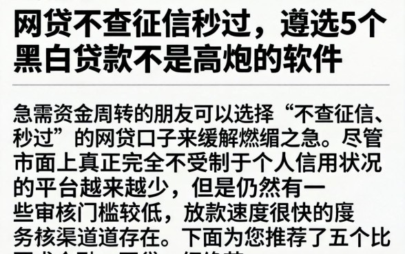 网贷不查征信秒过，遴选5个黑白贷款不是高炮的软件