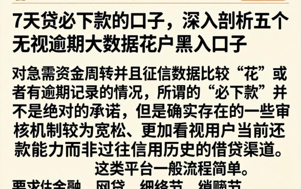 7天贷必下款的口子，深入剖析五个无视逾期大数据花户黑户口子