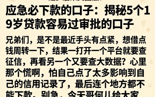 应急必下款的口子，揭秘5个19岁贷款容易过审批的口子