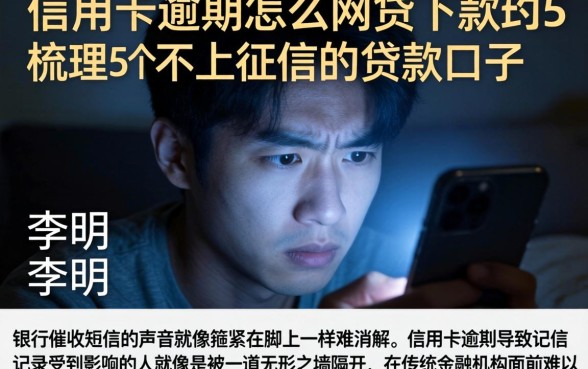 信用卡逾期怎么网贷下款，梳理5个不上征信的贷款口子