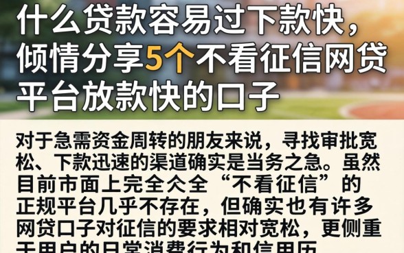 什么贷款容易过下款快，倾情分享5个不看征信网贷平台放款快的口子