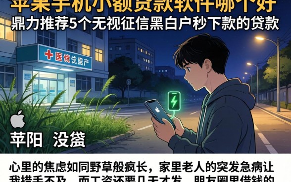 苹果手机小额贷款软件哪个好，鼎力推荐5个无视征信黑白户秒下款的贷款