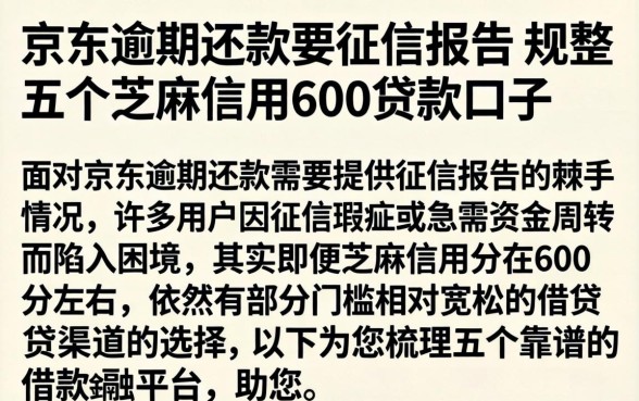 京东逾期还款要征信报告，规整五个芝麻信用600贷款口子