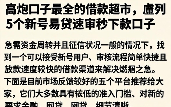 高炮口子最全的借款超市，胪列5个新号易贷速审秒下款口子