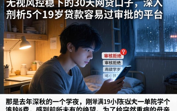 无视风控稳下的30天网贷口子，深入剖析5个19岁贷款容易过审批的平台