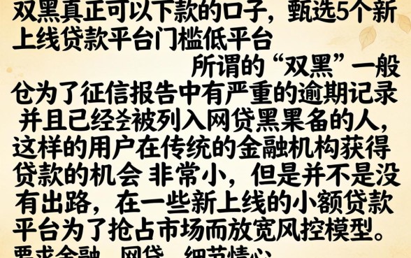 双黑真正可以下款的口子，甄选5个新上线贷款平台门槛低平台