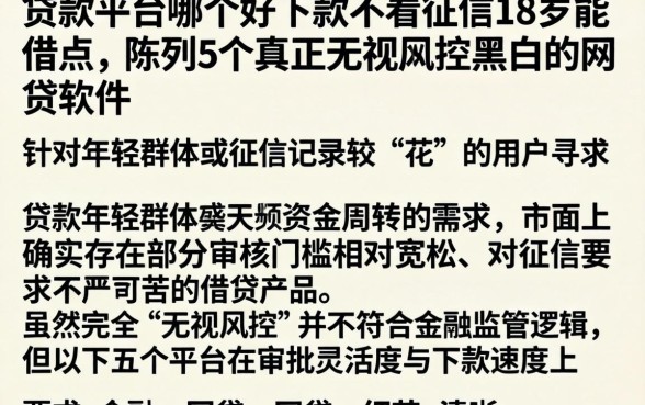 贷款平台哪个好下款不看征信18岁能借点，陈列5个真正无视风控黑白的网贷软件