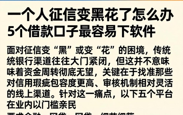 一个人征信变黑花了怎么办，细致阐述5个借款口子最容易下软件
