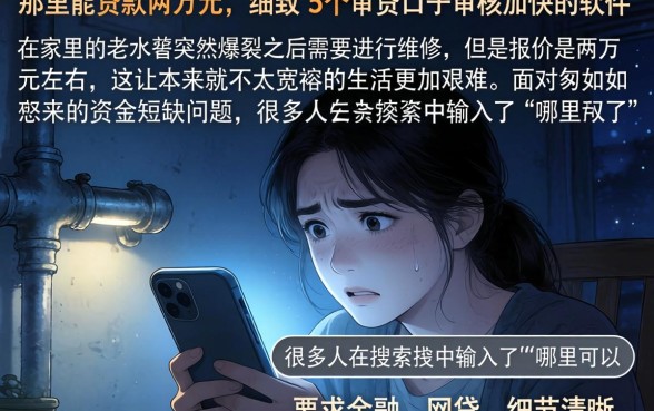 那里能贷款两万元，细致阐述5个审贷口子审核加快的软件