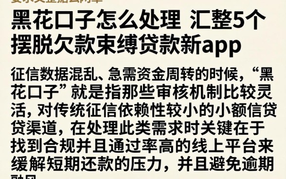 黑花口子怎么处理，汇整5个摆脱欠款束缚贷款新app