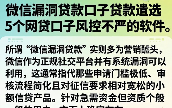 微信漏洞贷款口子贷款，遴选5个网贷口子风控不严的软件