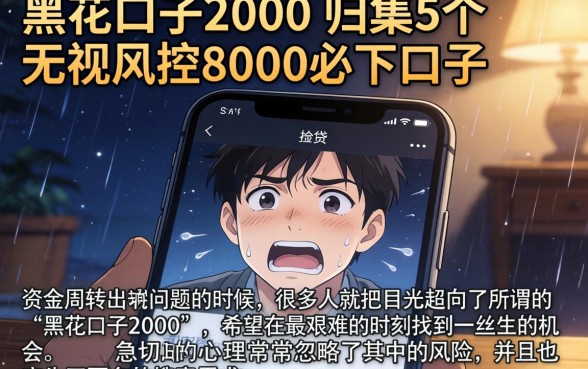 黑花口子2000，归集5个无视风控8000必下口子