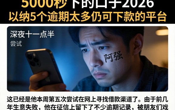 5000秒下的口子2026，归纳5个逾期太多仍可下款的平台