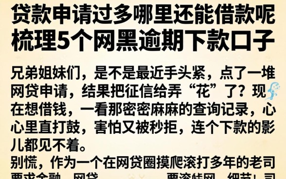 贷款申请过多哪里还能借款呢,梳理5个网黑逾期下款口子