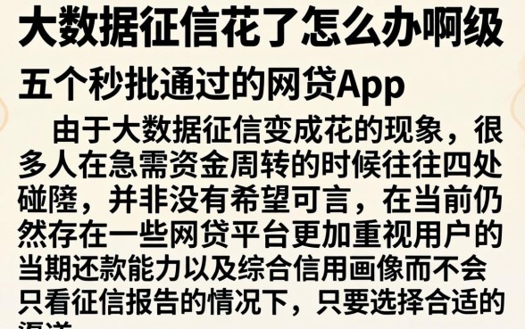 大数据征信花了怎么办啊，细致阐述五个秒批通过的网贷app