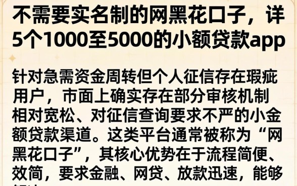 不需要实名制的网黑花口子，详细阐述5个1000至5000的小额贷款app