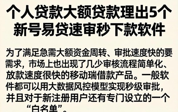 个人贷款大额贷款，理出5个新号易贷速审秒下款软件