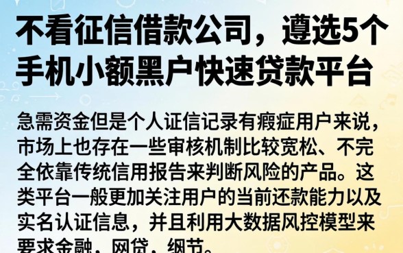 不看征信借款公司，遴选5个手机小额黑户快速贷款平台