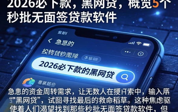 2026必下款的黑网贷，概览5个秒批无面签贷款软件