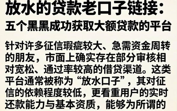 放水的贷款老口子链接，详细阐述五个黑户成功获取大额贷款的平台