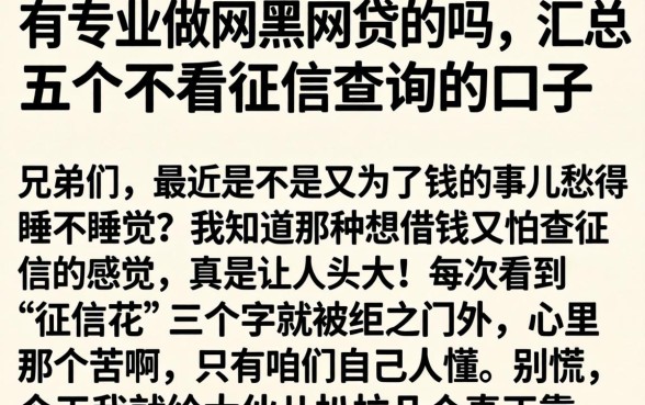 有专业做网黑网贷的吗，汇总五个不看征信查询的口子