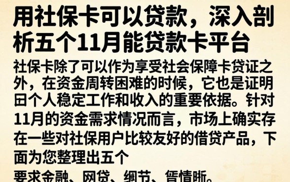 用社保卡可以贷款，深入剖析五个11月能贷款的平台