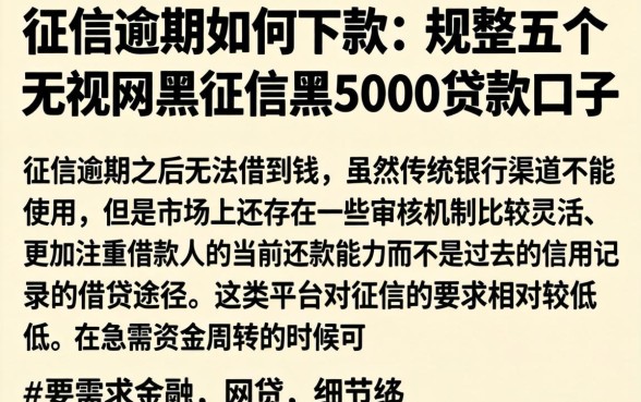 征信逾期如何下款，规整五个无视网黑征信黑5000贷款口子