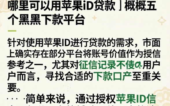 哪里可以用苹果id贷款，概览五个黑户下款平台