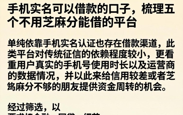 手机实名可以借款的口子，梳理五个不用芝麻分能借的平台