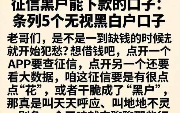 征信黑户能下款的口子，条列5个无视黑白户口子